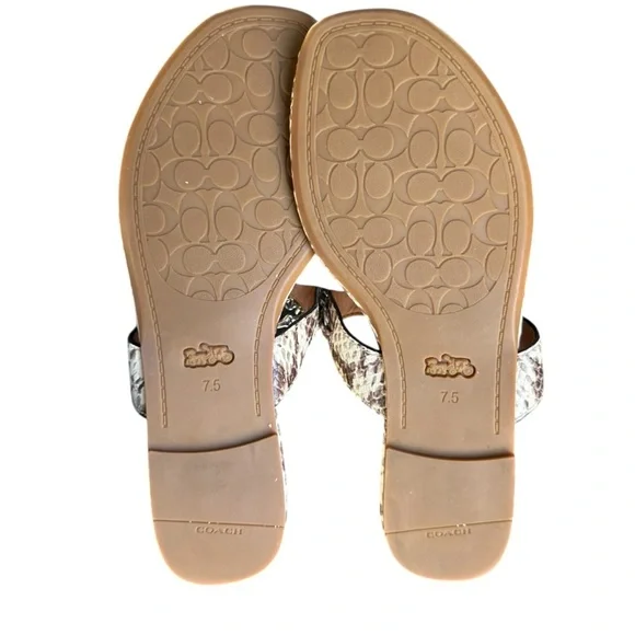 Coach EUC Jaclyn Python Embossed Leather Logo Chain Thong Sandals Sz 7.5B - Picture 4 of 6